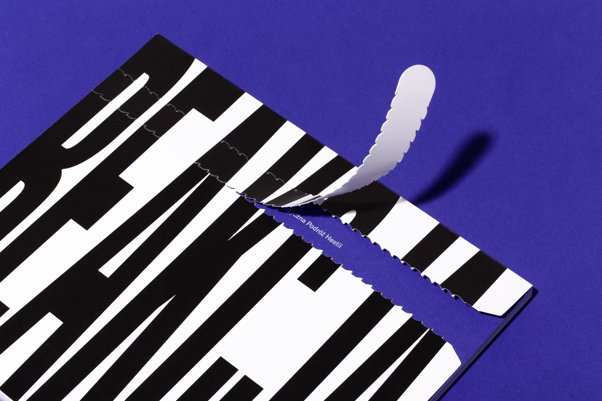 aph_branding_case_12