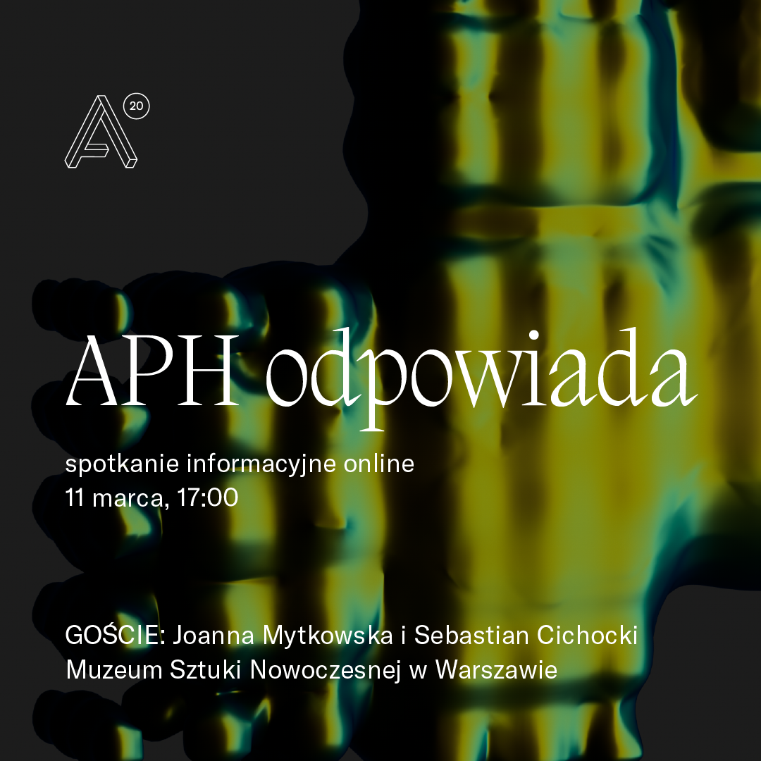 identyfikacja wizualna APH11