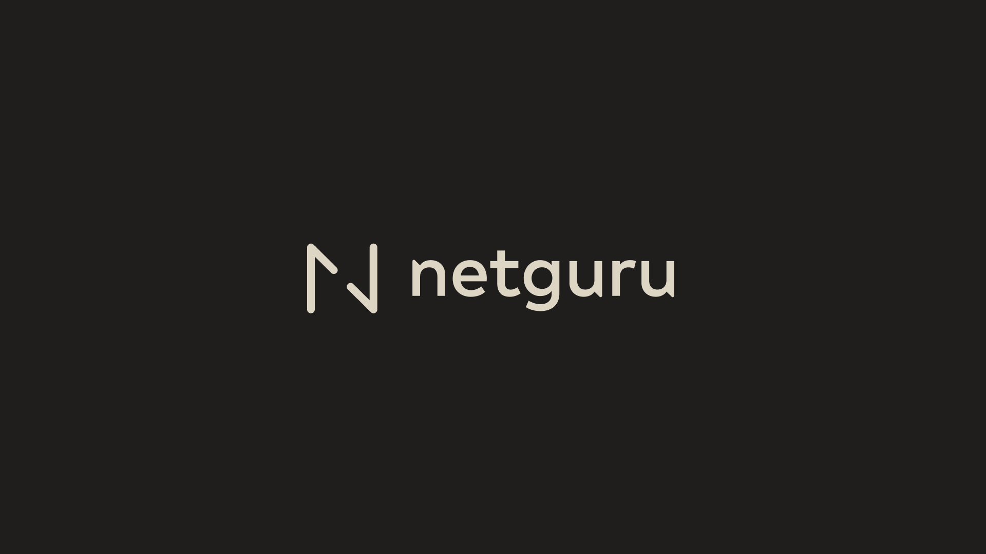 09_netguru logo